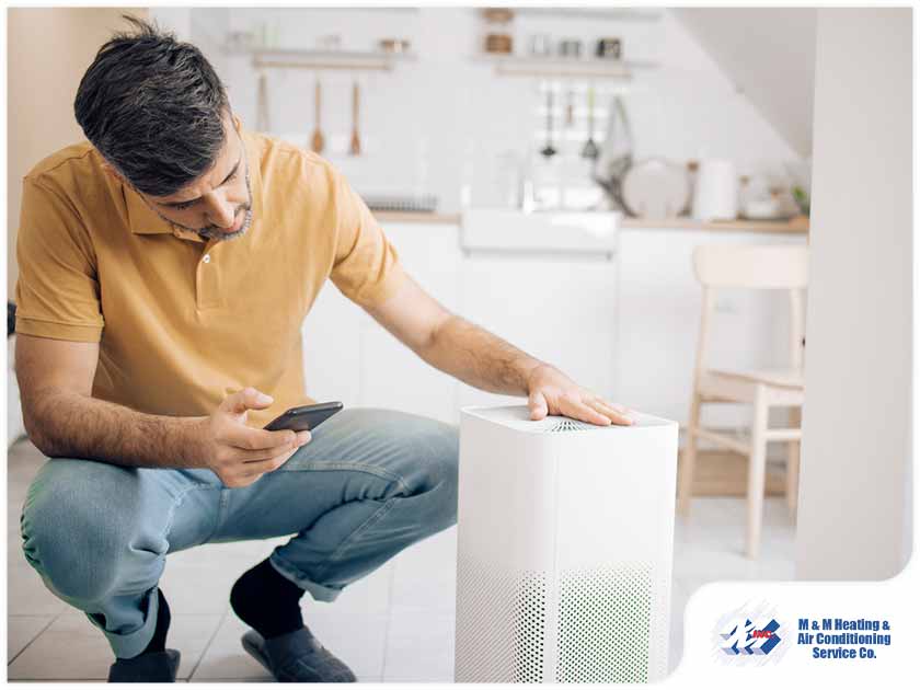 Air Purifiers Alleviate Fall Allergies